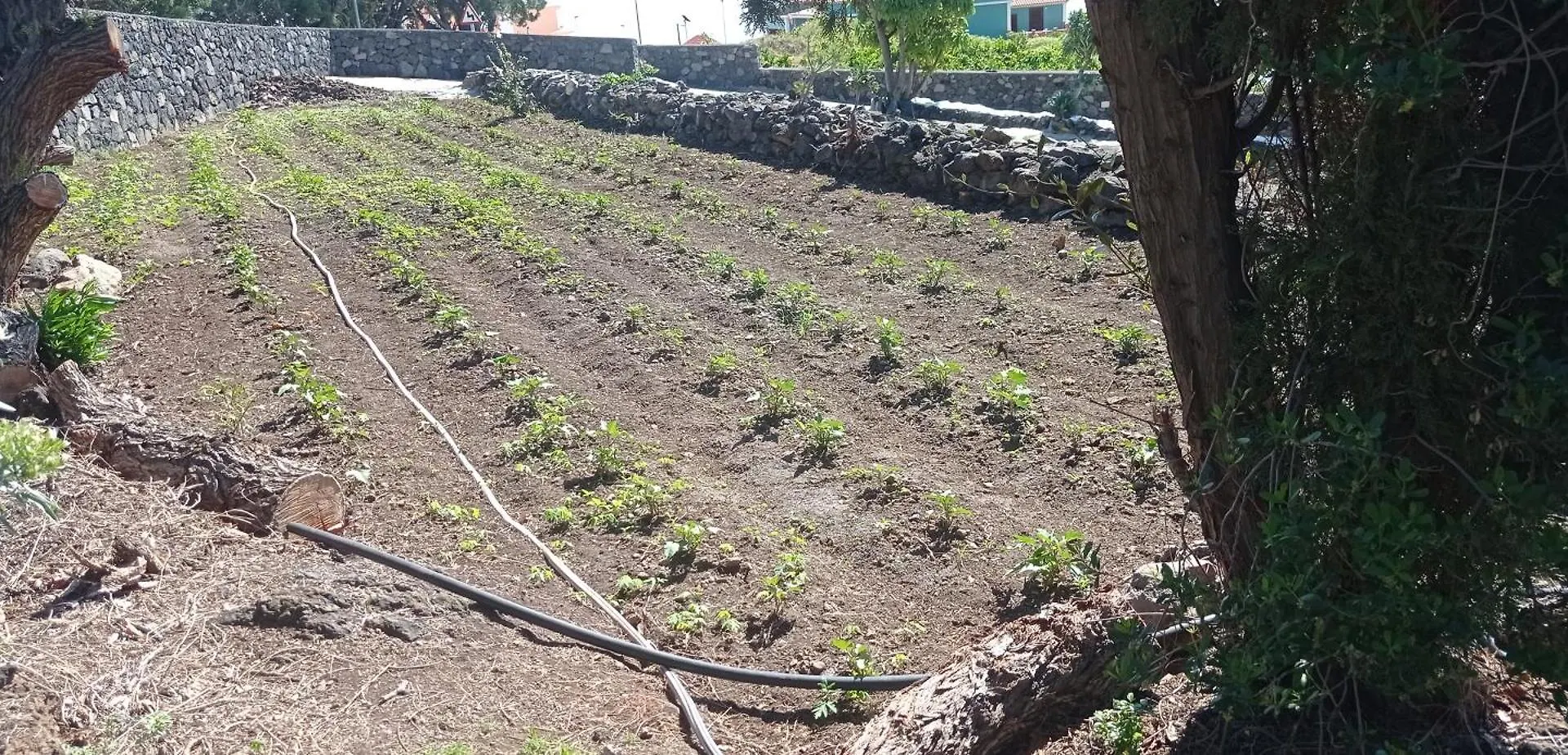 Villa El Sueno Del Angel Santa Cruz de la Palma  Сasa de vacaciones